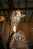 2012 Fall Fiber Expo