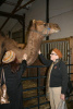 2012 Fall Fiber Expo