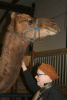 2012 Fall Fiber Expo